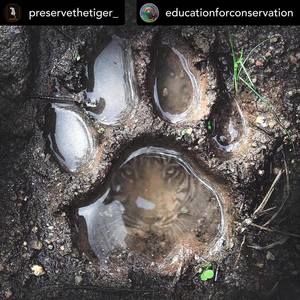 Meet your Posher $5 $10 $20 Take It Or Not